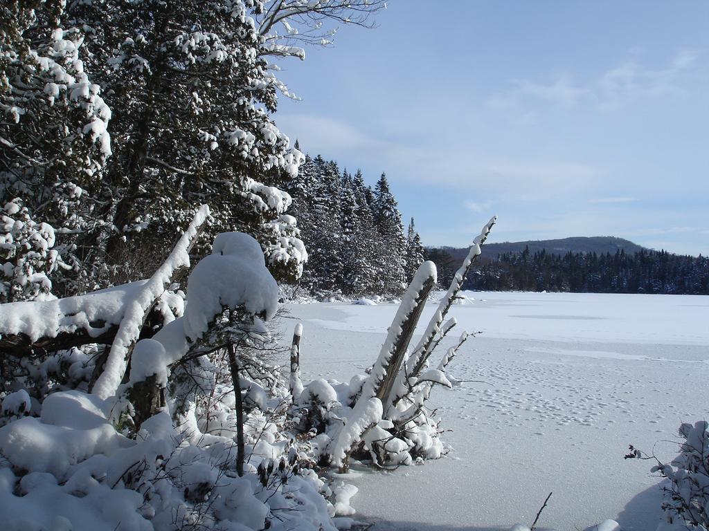 Manoir Du Lac Sept-Iles Saint-Raymond Kültér fotó